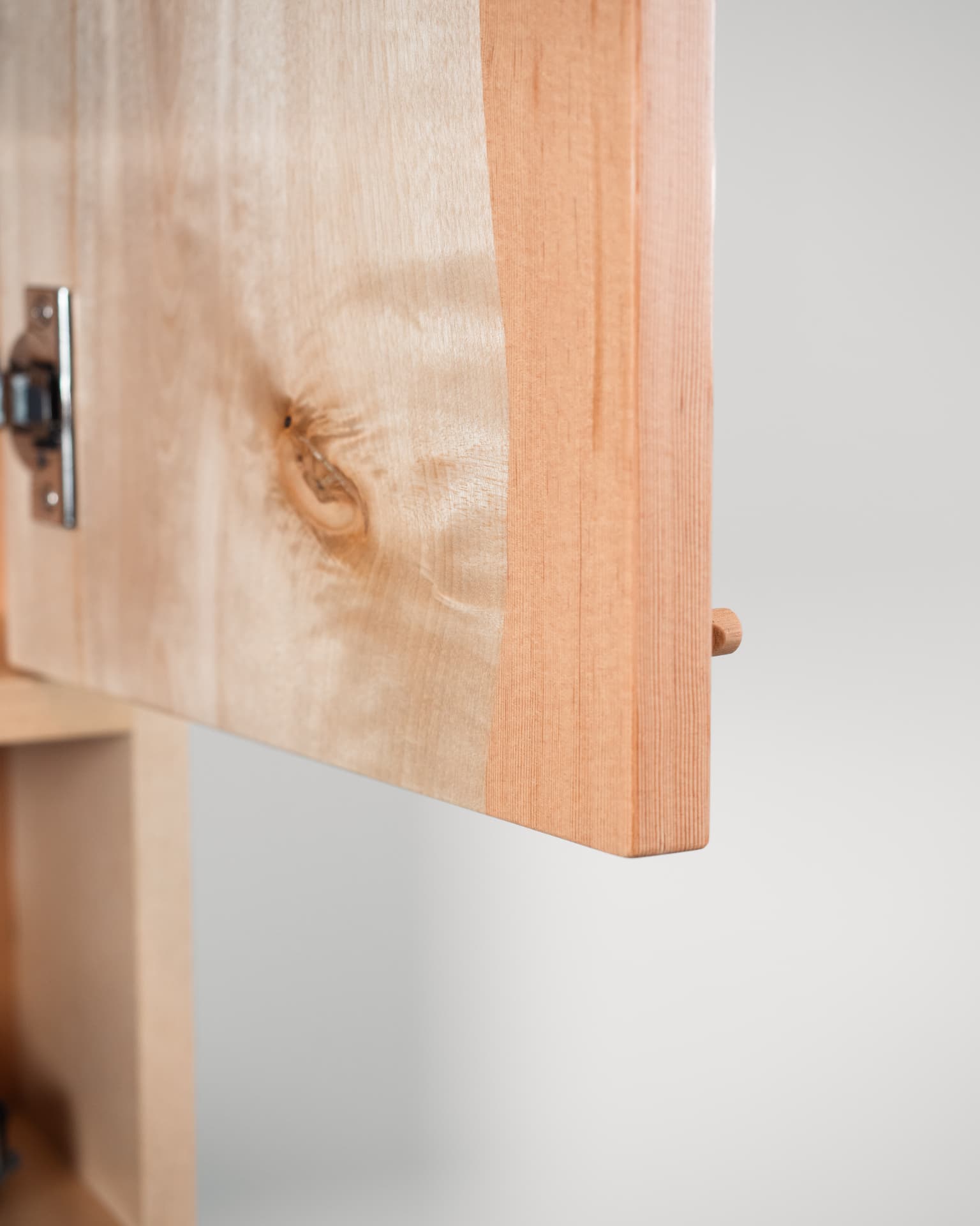JA Wall Cabinet — view 4