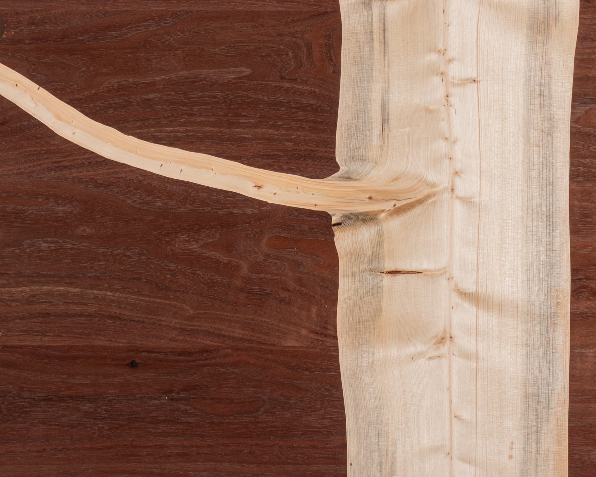 Spruce Branch Coffee Table — view 9